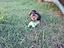 Immagine 6