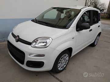 FIAT Pandina hybrid Icon CBC4.5