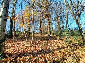 Terreno Edificabile a Ternate