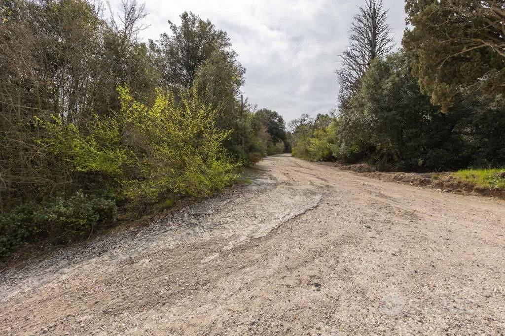 Rustico / Casale di 47 m² con 2 locali a Nazzano - Vista 2