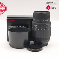 Sigma 70-300 F4-5.6 DG Macro (Nikon)