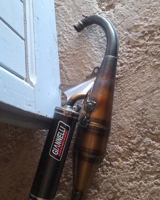 Shot v4 gianelli per piaggio 