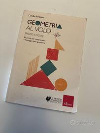 Geometria al volo