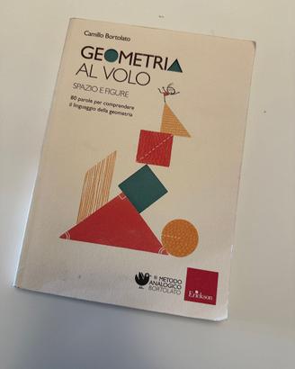 Geometria al volo