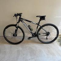 Coppia di mountain bike