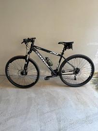 Coppia di mountain bike