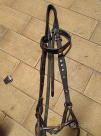 testiera e morso con leve