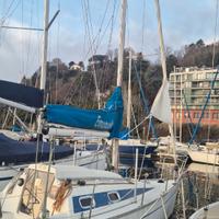 Star 28 settemari