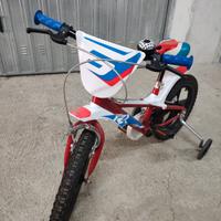 Bicicletta Bambino 