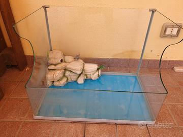 Acquario tartarugario