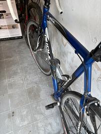Ridley gladius