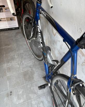 Ridley gladius
