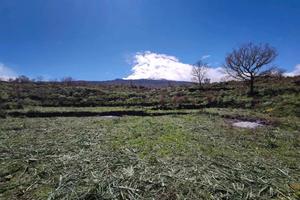 Terreno IGT a Solicchiata