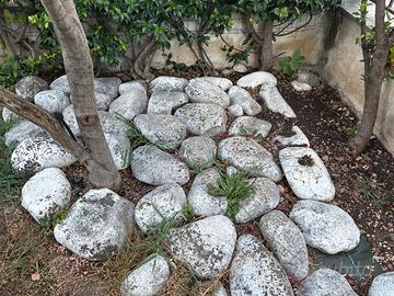 Sassi decorativi da giardino