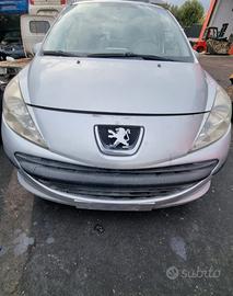 Ricambi Peugeot 207 2007 1.4 HDI 8HZ