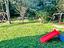 Immagine 26
