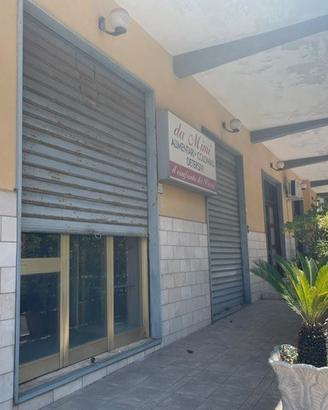 Locale commerciale, a lancusi