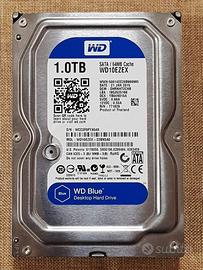 Hard Disk Western Digital 1TB 7200RPM pari nuovo