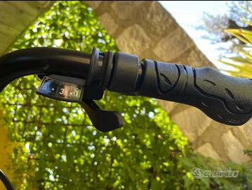 City bike bottecchia