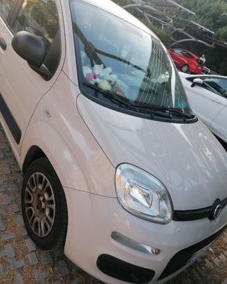 Fiat panda immatricolazione 2016 km133000