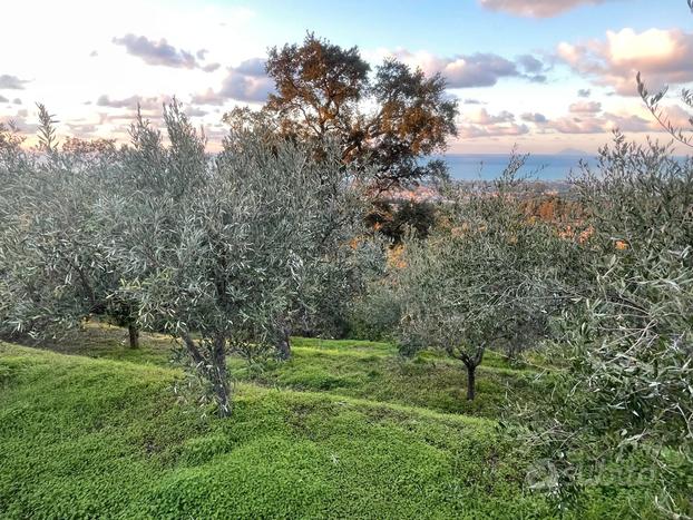 Terreno Agricolo Capo D'Orlando