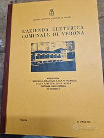 L'azienda elettrica comunale di Verona 