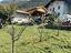 Immagine 22