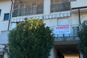 Trilocale basiano casa