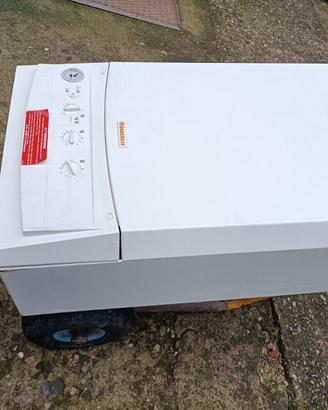 caldaia immergas mini eolo camera stagna gas metan