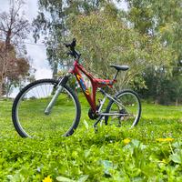 Bici (Fratelli a due ruote) prezzo trattabile