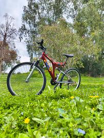 Bici (Fratelli a due ruote) prezzo trattabile