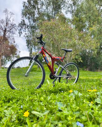 Bici (Fratelli a due ruote) prezzo trattabile