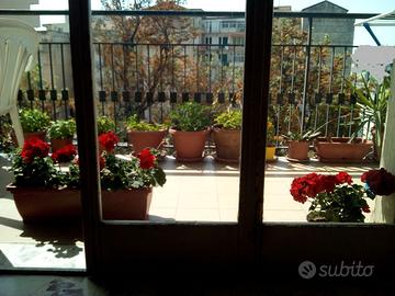 SALONE GRANDE per FESTE