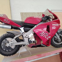 Minimoto polini