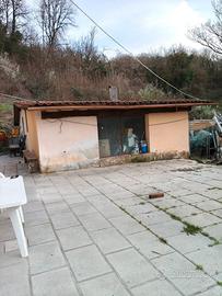 Rustico+terreno