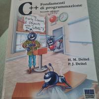 fondamenti di programmazione libro