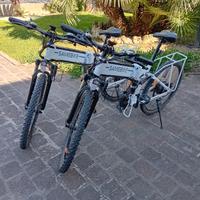 biciclette elettriche