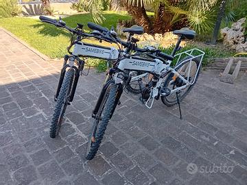 biciclette elettriche