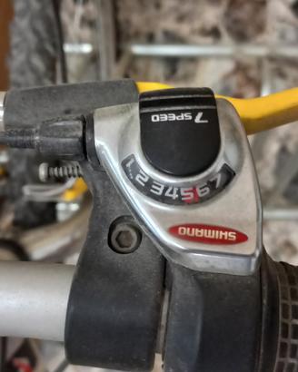 Mtb Vicini