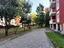 Immagine 12