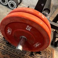 Dischi bumpers 2x25 kg