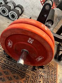 Dischi bumpers 2x25 kg