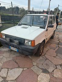 Panda Young bianca 1000 anno 1999