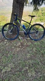 mtb 29 - 21 rapporti