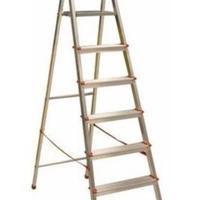 Scala domestica a 6 gradini + pedana