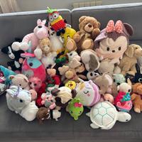 Box 44 Peluche