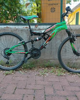 Bicicletta da bambino