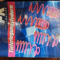 Molle assetto Renault clio 3