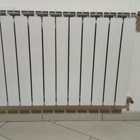 termosifone/radiatore