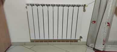 termosifone/radiatore